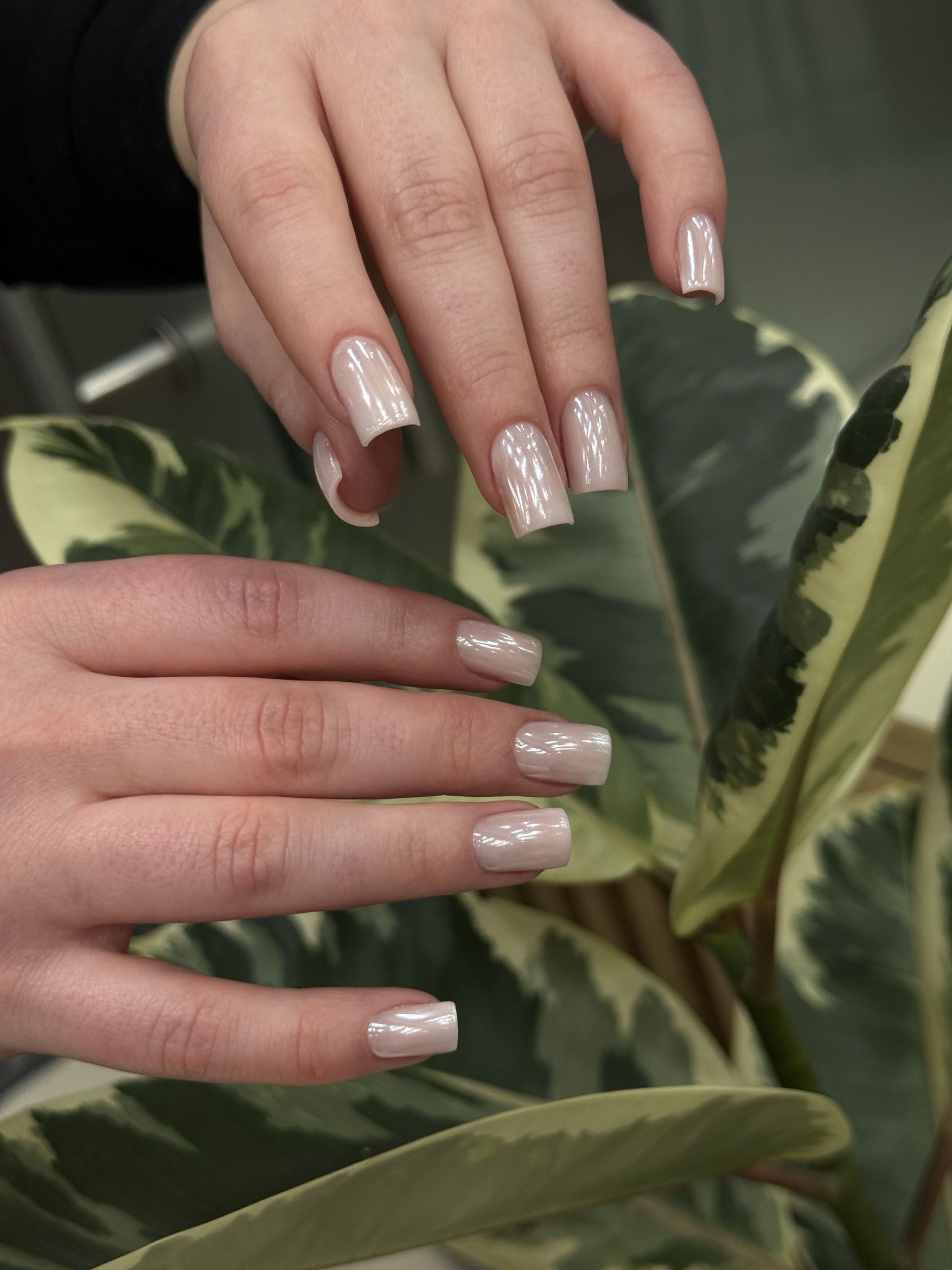 Manicure nude - Studio 61